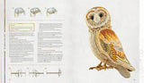Inspirations Enchanted Embroidery - Jenny Adin-Christie