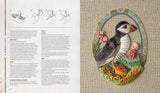 Inspirations Enchanted Embroidery - Jenny Adin-Christie