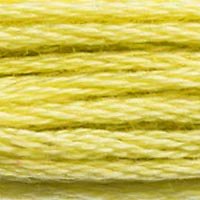 DMC Stranded Thread 165