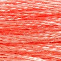 DMC Stranded Thread 352
