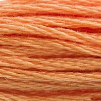 DMC Stranded Thread 402