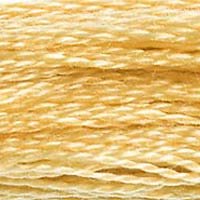 DMC Stranded Thread 676