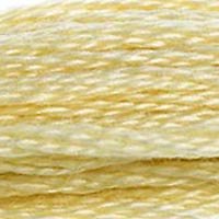 DMC Stranded Thread 677