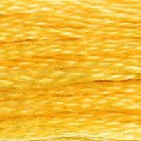 DMC Stranded Thread 725