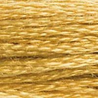 DMC Stranded Thread 729