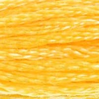 DMC Stranded Thread 743