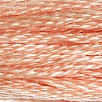 DMC Stranded Thread 754