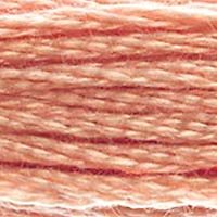 DMC Stranded Thread 758