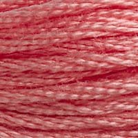 DMC Stranded Thread 760