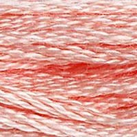 DMC Stranded Thread 761