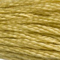 DMC Stranded Thread 834
