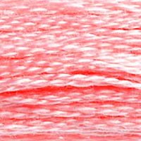 DMC Stranded Thread 894