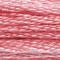 DMC Stranded Thread 899