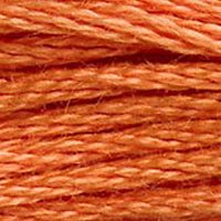 DMC Stranded Thread 922