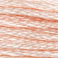 DMC Stranded Thread 948