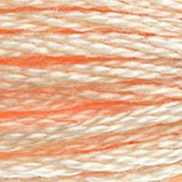 DMC Stranded Thread 951