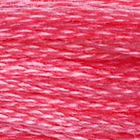 DMC Stranded Thread 956