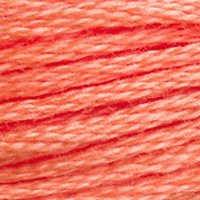 DMC Stranded Thread 3340
