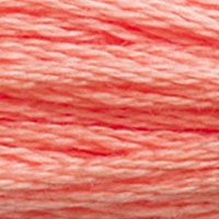DMC Stranded Thread 3341
