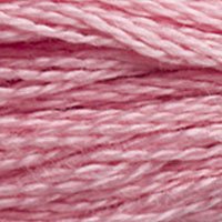DMC Stranded Thread 3354