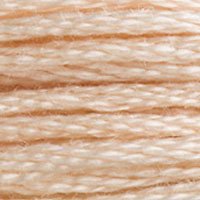 DMC Stranded Thread 3774