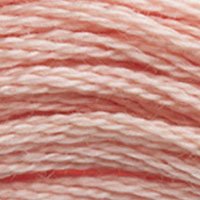 DMC Stranded Thread 3779