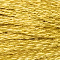 DMC Stranded Thread 3820