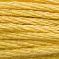 DMC Stranded Thread 3821