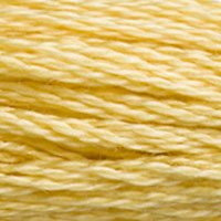 DMC Stranded Thread 3822