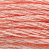 DMC Stranded Thread 3824