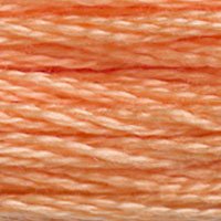 DMC Stranded Thread 3825