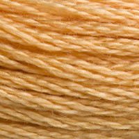 DMC Stranded Thread 3827