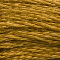 DMC Stranded Thread 3829