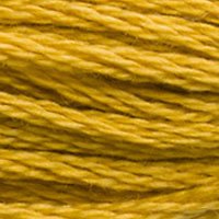 DMC Stranded Thread 3852