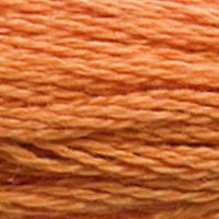 DMC Stranded Thread 3853