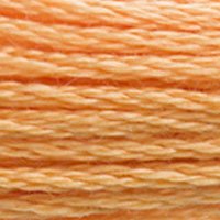 DMC Stranded Thread 3854