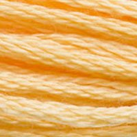 DMC Stranded Thread 3855