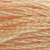DMC Stranded Thread 3856