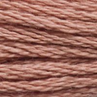 DMC Stranded Thread 3859